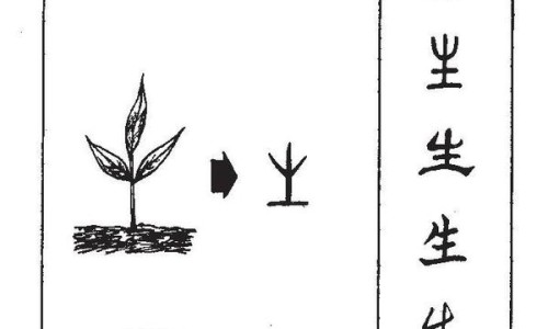 生男孩与生女孩孕妇肚子的区别-生男宝宝孕妇肚子照片网 - 网站提供生男孩与生女孩孕妇肚子的区别小常识、生男孩孕肚